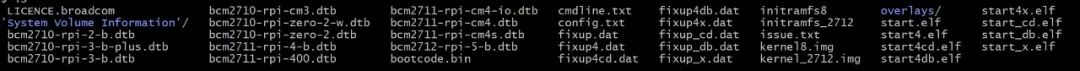 Understanding Raspberry Pi System Files