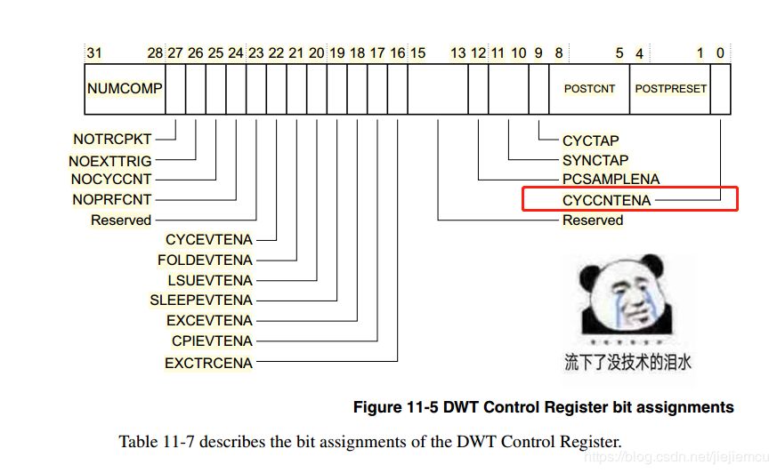 Precise Delay Method in Cortex-M Kernel (ns Level)