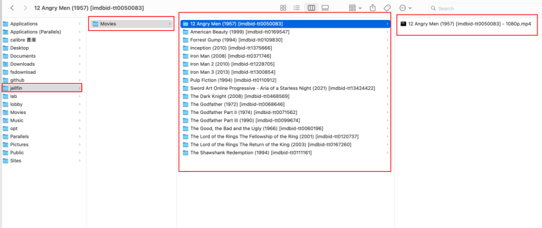 Building a Raspberry Pi 4B Home Server: A Guide to Setting Up an Open Source Free Jellyfin Private Cinema Using an Idle Laptop