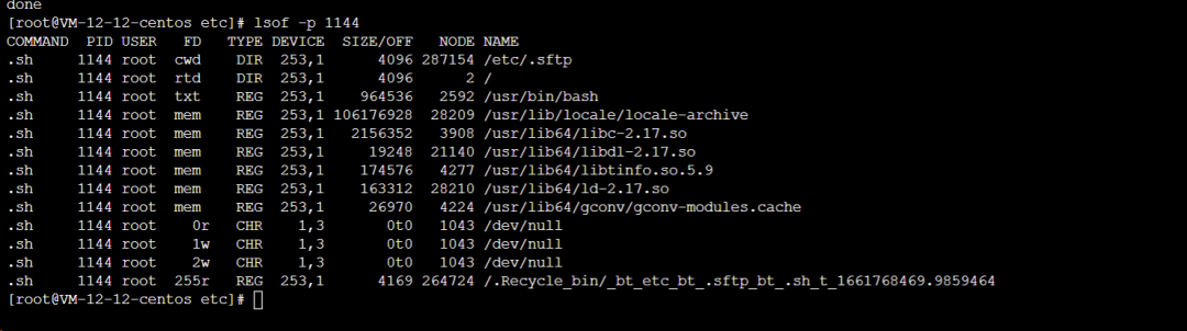Handling a Server Breach: A Step-by-Step Guide