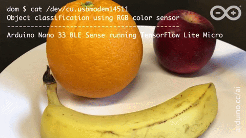 Quick Fruit Recognition Using Arduino and TensorFlow Lite Micro