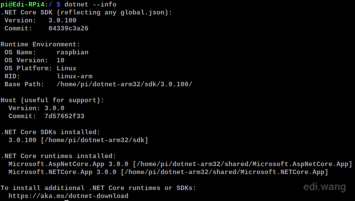 Installing .NET Core 3.0 Runtime and SDK on Raspberry Pi 4