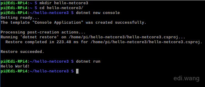 Installing .NET Core 3.0 Runtime and SDK on Raspberry Pi 4