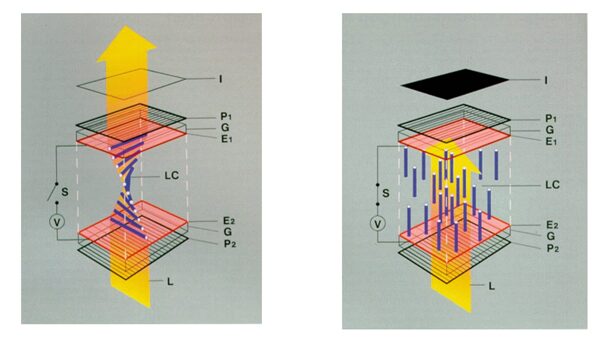 Understanding Display Technologies: LCD, OLED, Mini/Micro LED