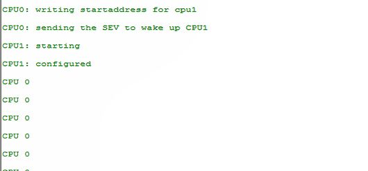 Getting Started with ZYNQ: Asymmetric Multi-Core Processing (AMP)
