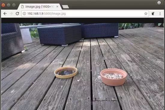 Building an AI Camera Using Python, Raspberry Pi, and YOLO